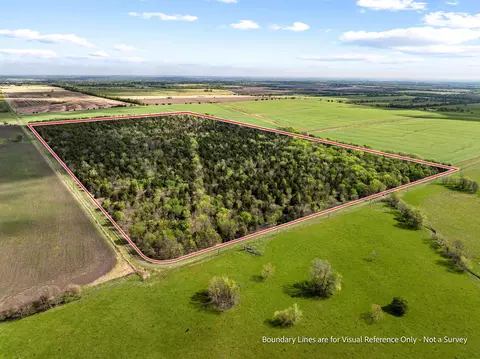 tbd County Road 3230, Ben Franklin, TX 75415
