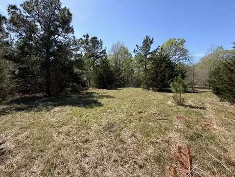 tbd Fm 542, Oakwood, TX 75855