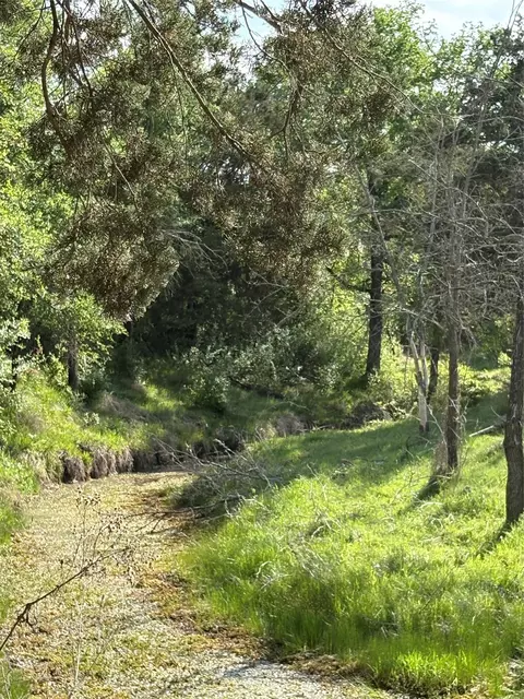 tbd Whitetail Springs Ln, Gustine, TX 76455
