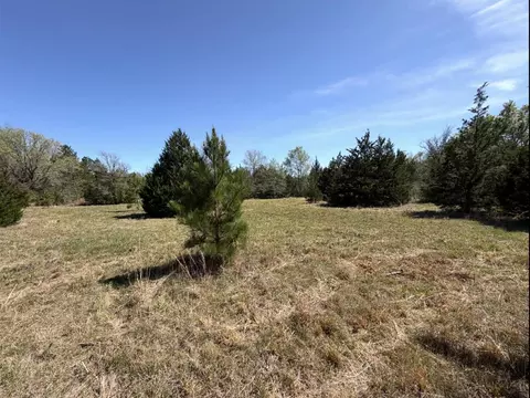 Tract 2 Fm 542, Oakwood, TX 75855