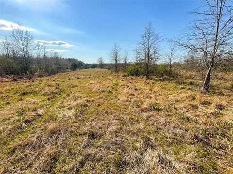 tbd Fm 990, Simms, TX 75574 photo 17