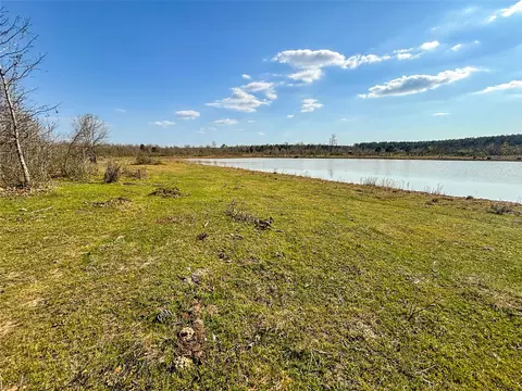 tbd Fm 990, Simms, TX 75574 photo 16