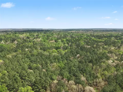 31 Ac Cr 2108, Hooks, TX 75561 photo 5