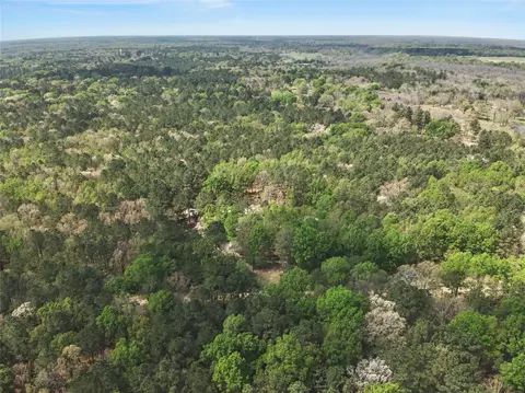 31 Ac Cr 2108, Hooks, TX 75561