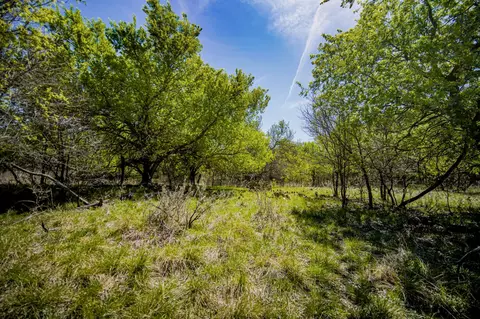 100 Acres Fm 2950, Jermyn, TX 76459