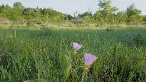 tbd Lot 3-4 Adams Rd, Sherman, TX 75090