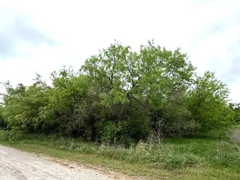 tbd Mcalister, Mingus, TX 76463