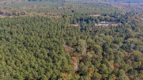 00 Hwy 159, Minden, LA 71055 photo 2