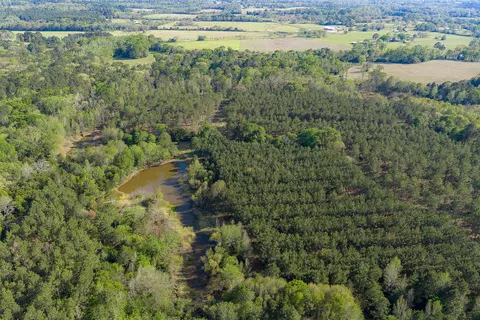 00 Farm To Market Road 2022, Grapeland, TX 75844