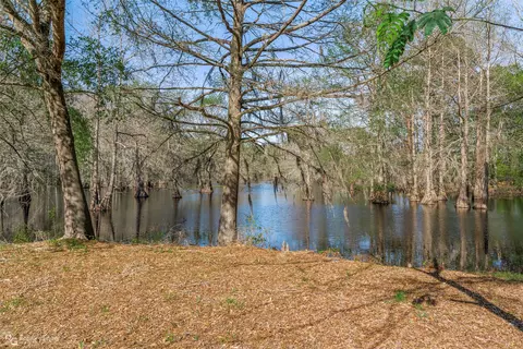View/Area - 121 Willow St, Heflin, LA 71039 photo 4 of 6