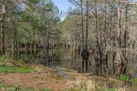 Other - 121 Willow St, Heflin, LA 71039 photo 2 of 9