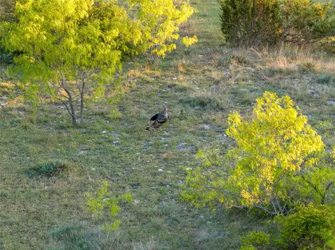 000 Fm 1702, Gustine, TX 76455 photo 31