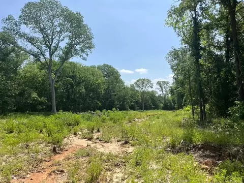 lot45 Antrim Ct, Poolville, TX 76487