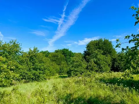 lot53 Wicklow Ct, Poolville, TX 76487