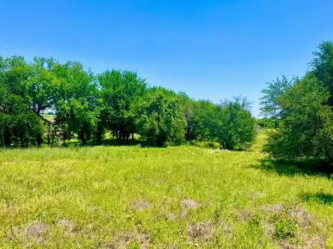 lot89 Kerry Ct, Poolville, TX 76487