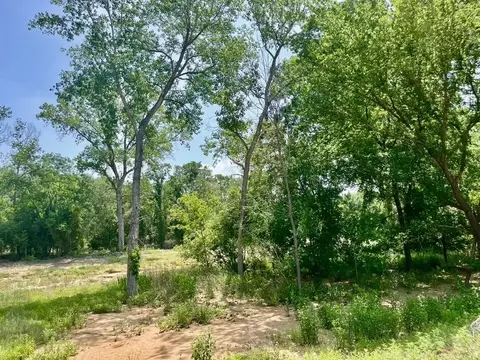 lot46 Antrim Ct, Poolville, TX 76487