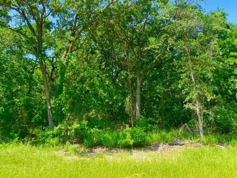 lot48 Antrim Ct, Poolville, TX 76487