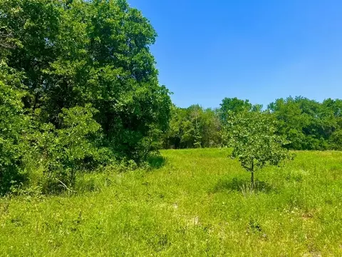 lot49 Wicklow Ct, Poolville, TX 76487