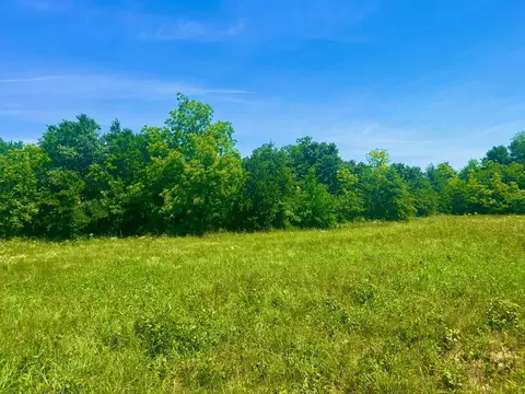 lot103 Arlow Rd, Poolville, TX 76487