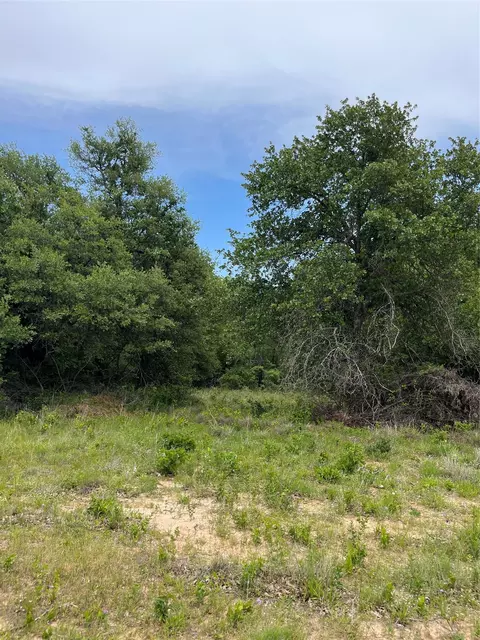 lot96 Kilkenny Rd, Poolville, TX 76487