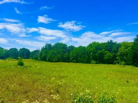 lot100 Arlow Rd, Poolville, TX 76487