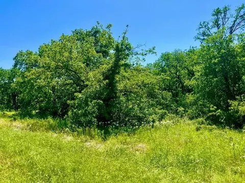lot40 Kilkenny Rd, Poolville, TX 76487