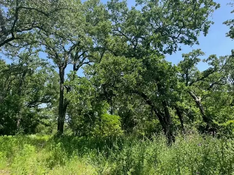 lot44 Antrim Ct, Poolville, TX 76487
