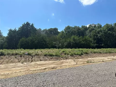 lot9 County Road 1110, Farmersville, TX 75442