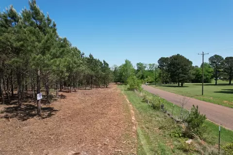 tbd Lincoln Springs Rd, Gladewater, TX 75647