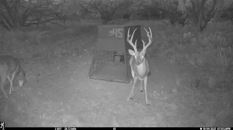 tbd Tbd County Rd 291, Breckenridge, TX 76464