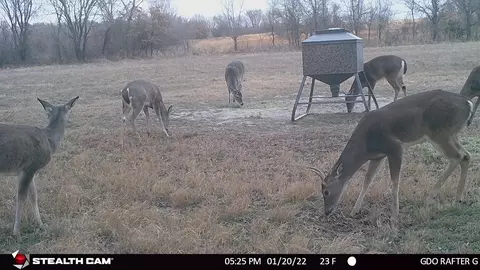 tbd Dry Valley Rd, Sunset, TX 76270