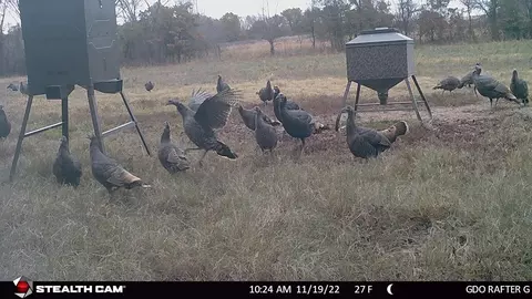 tbd Dry Valley Rd, Sunset, TX 76270