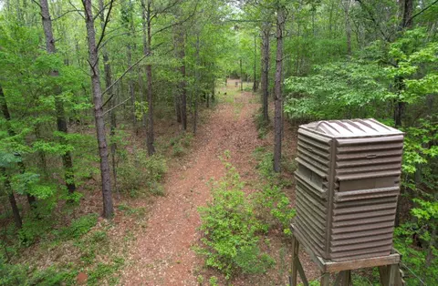 tbd County Road 120c, San Augustine, TX 75972