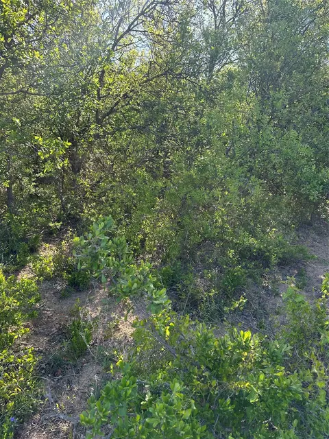 tbd Hwy 2247, Comanche, TX 76442 photo 6