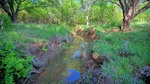 0 Applegate, Bowie, TX 76230 photo 4