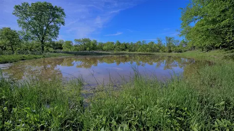 0 Applegate, Bowie, TX 76230 photo 11