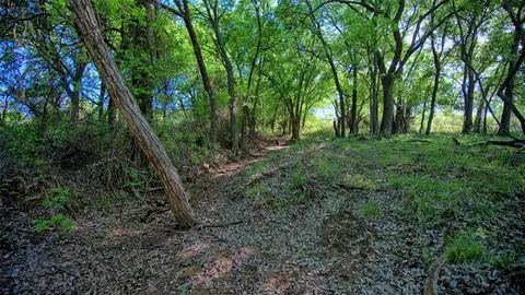 0 Applegate, Bowie, TX 76230 photo 17