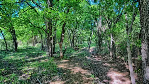 0 Applegate, Bowie, TX 76230 photo 18