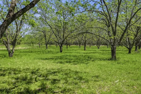 12011 Paradise Blvd, Bluff Dale, TX 76433
