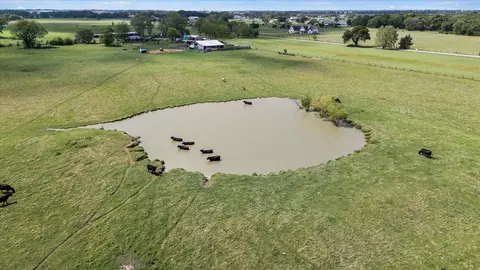 11742 Dane Rd, Pilot Point, TX 76258 photo 33