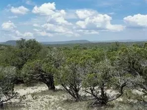 tbd Cr2010 Rd # 4, Glen Rose, TX 76043