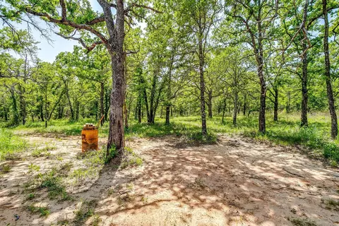 Exterior - 313 Broken Rd, Perrin, TX 76486 photo 7 of 10