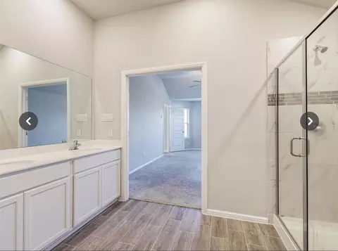 Bath - 14219 Aberavon Dr, Pilot Point, TX 76258 photo 3 of 5