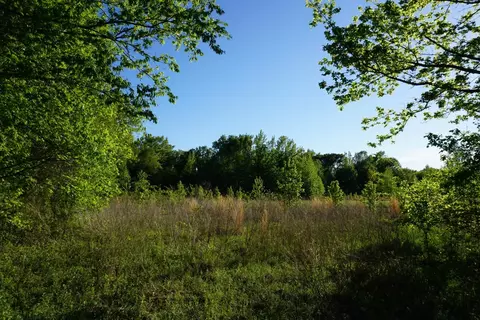 6902 Stella St, Murchison, TX 75778