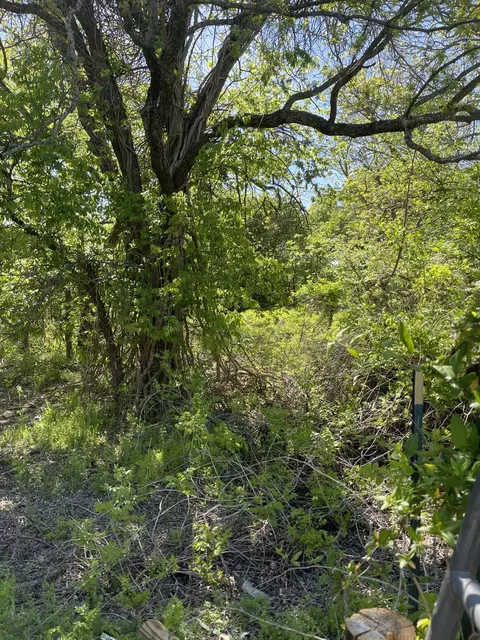 31 Julia, Bangs, TX 76823 photo 8