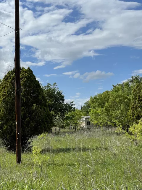 31 Julia, Bangs, TX 76823 photo 10