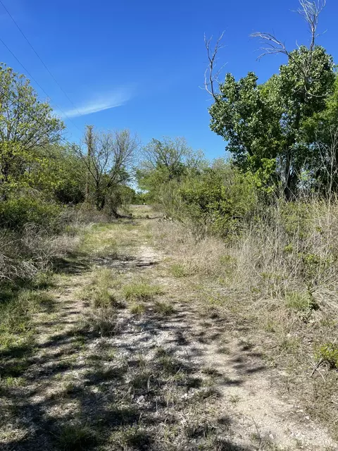 31 Julia, Bangs, TX 76823 photo 6