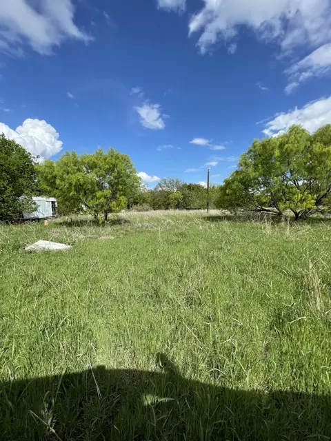 31 Julia, Bangs, TX 76823 photo 11