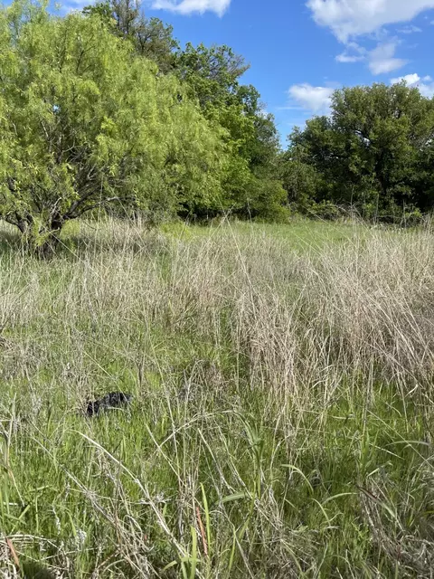31 Julia, Bangs, TX 76823 photo 3