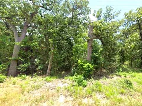 0 Goliad Dr, Log Cabin, TX 75148